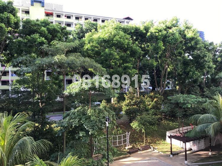 Blk 4B Boon Tiong Arcadia (Bukit Merah), HDB 5 Rooms #147666942